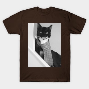 Good Luck in your New job! Zoom call for the Cute Cat T-Shirt